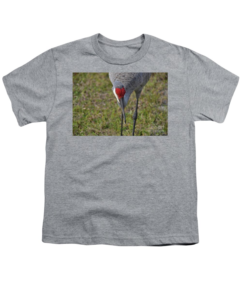 Sandhill Crane Youth T-Shirt featuring the photograph 3- Sandhill Crane by Joseph Keane