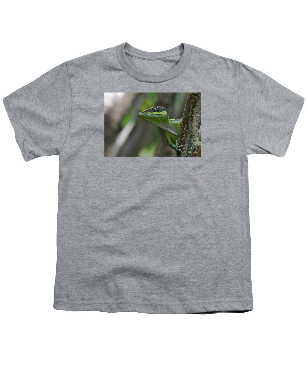 Cuban Knight Anole Youth T-Shirt featuring the photograph 57- Cuban Knight Anole by Joseph Keane