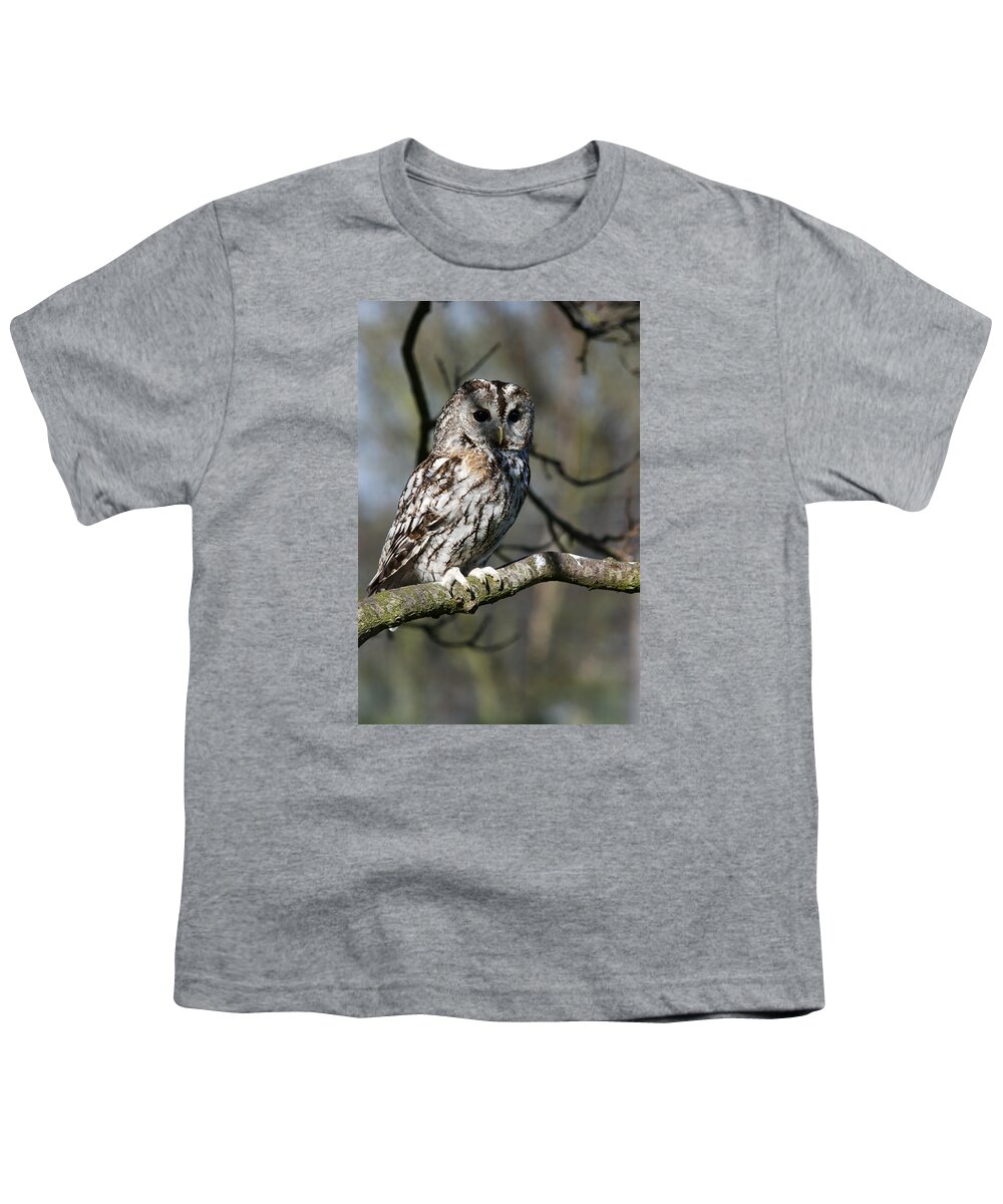 Tawny Owl Youth T-Shirt featuring the photograph A Tawny Owl by Andy Myatt