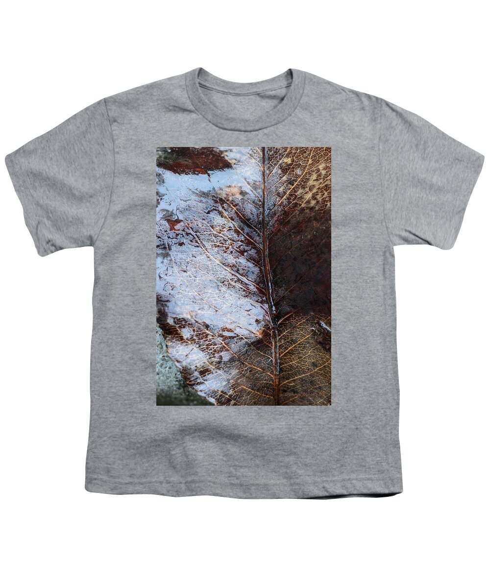 Leaf Youth T-Shirt featuring the photograph Ageless Beauty by Donna Blackhall