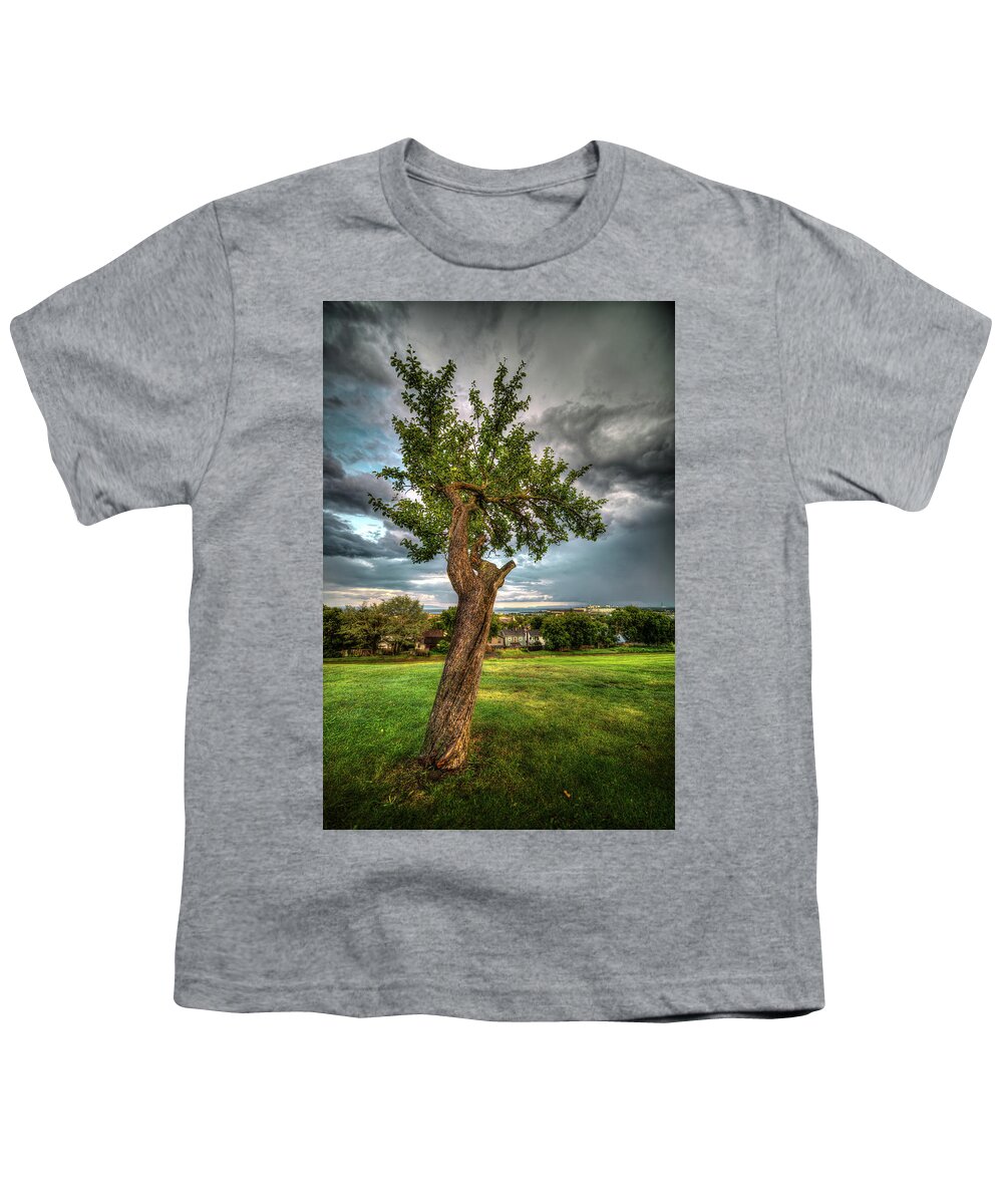 Abstract Youth T-Shirt featuring the photograph Apple Tree, Hillcrest Park by Jakub Sisak