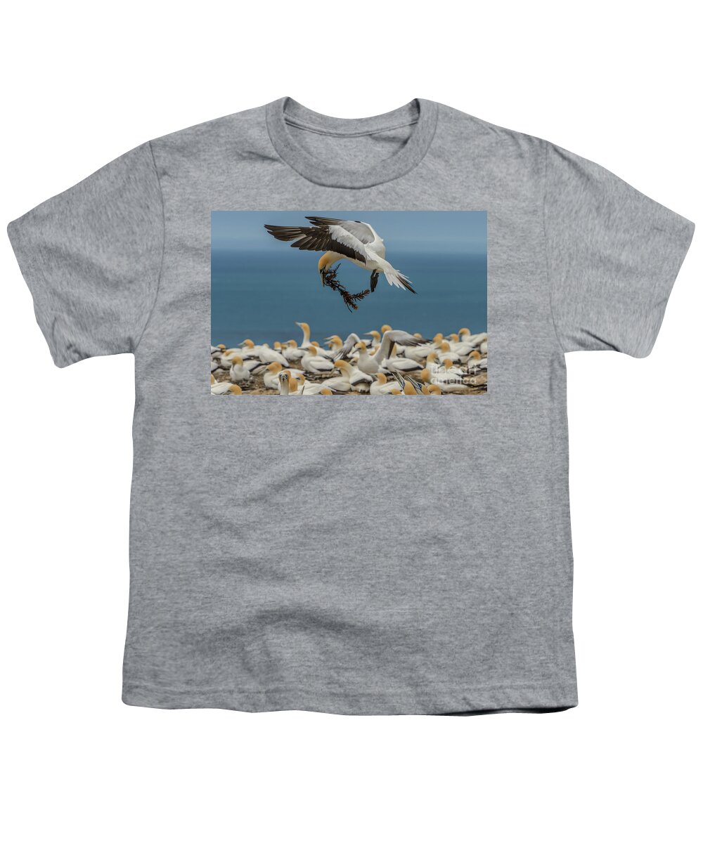 Bird Youth T-Shirt featuring the photograph Applying the Brakes by Werner Padarin