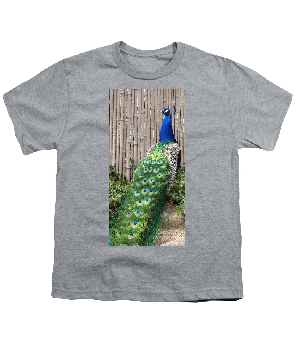 Peacock Youth T-Shirt featuring the photograph Around the Back by Caryl J Bohn