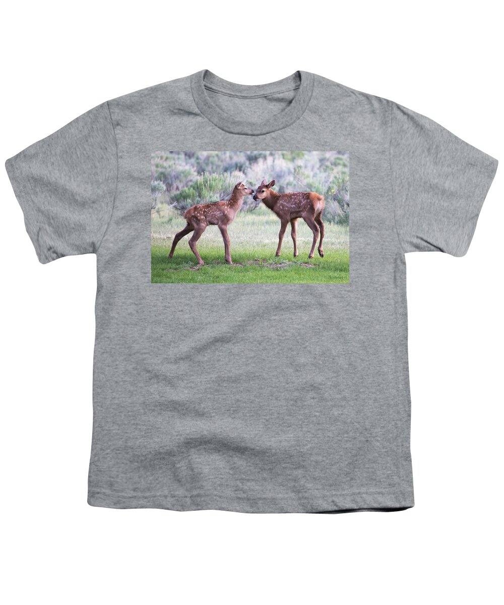 Elk Youth T-Shirt featuring the photograph Baby Elk by Wesley Aston