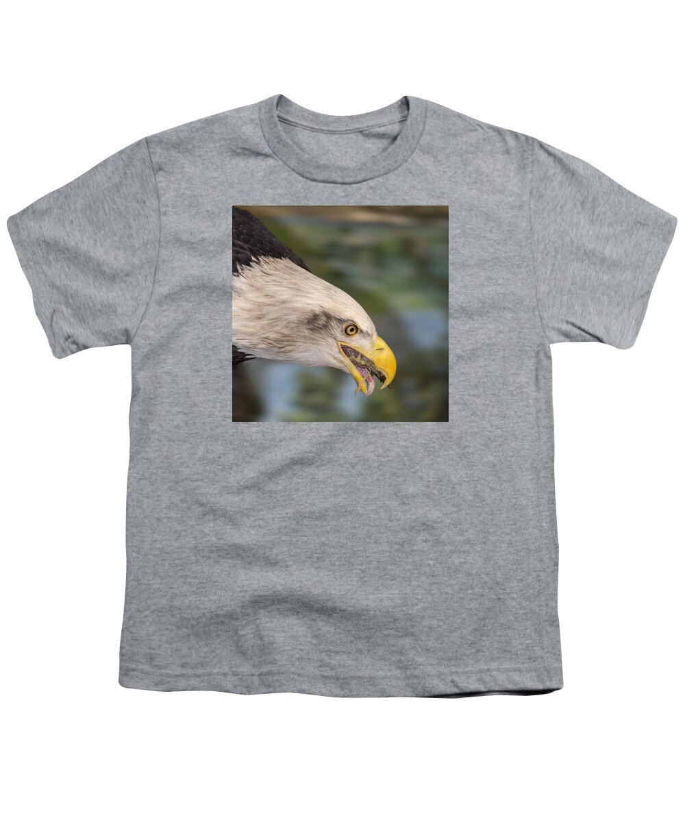 Bald Eagle Youth T-Shirt featuring the photograph Baldy Eating Lunch by Bill and Linda Tiepelman