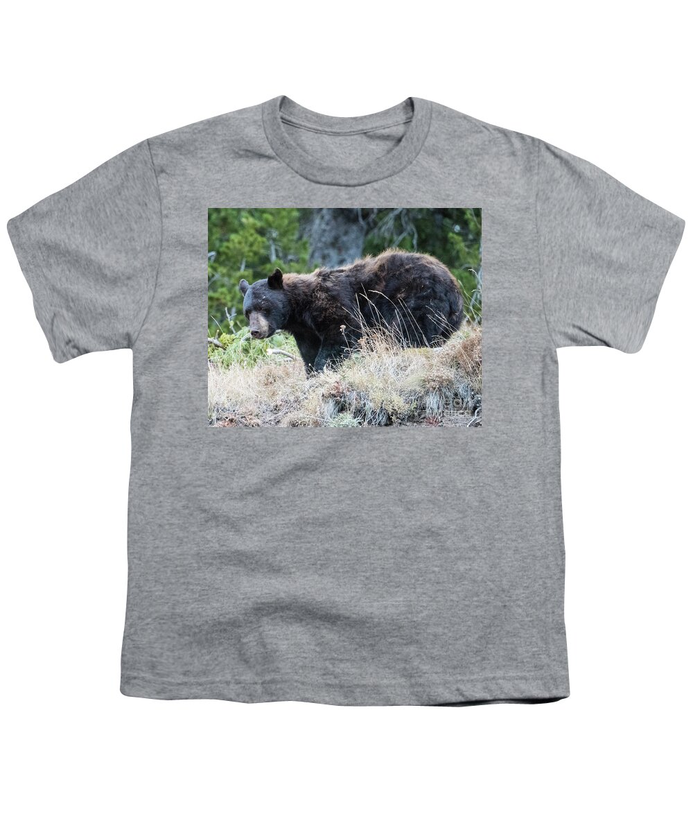Natanson Youth T-Shirt featuring the photograph Black Bear by Steven Natanson