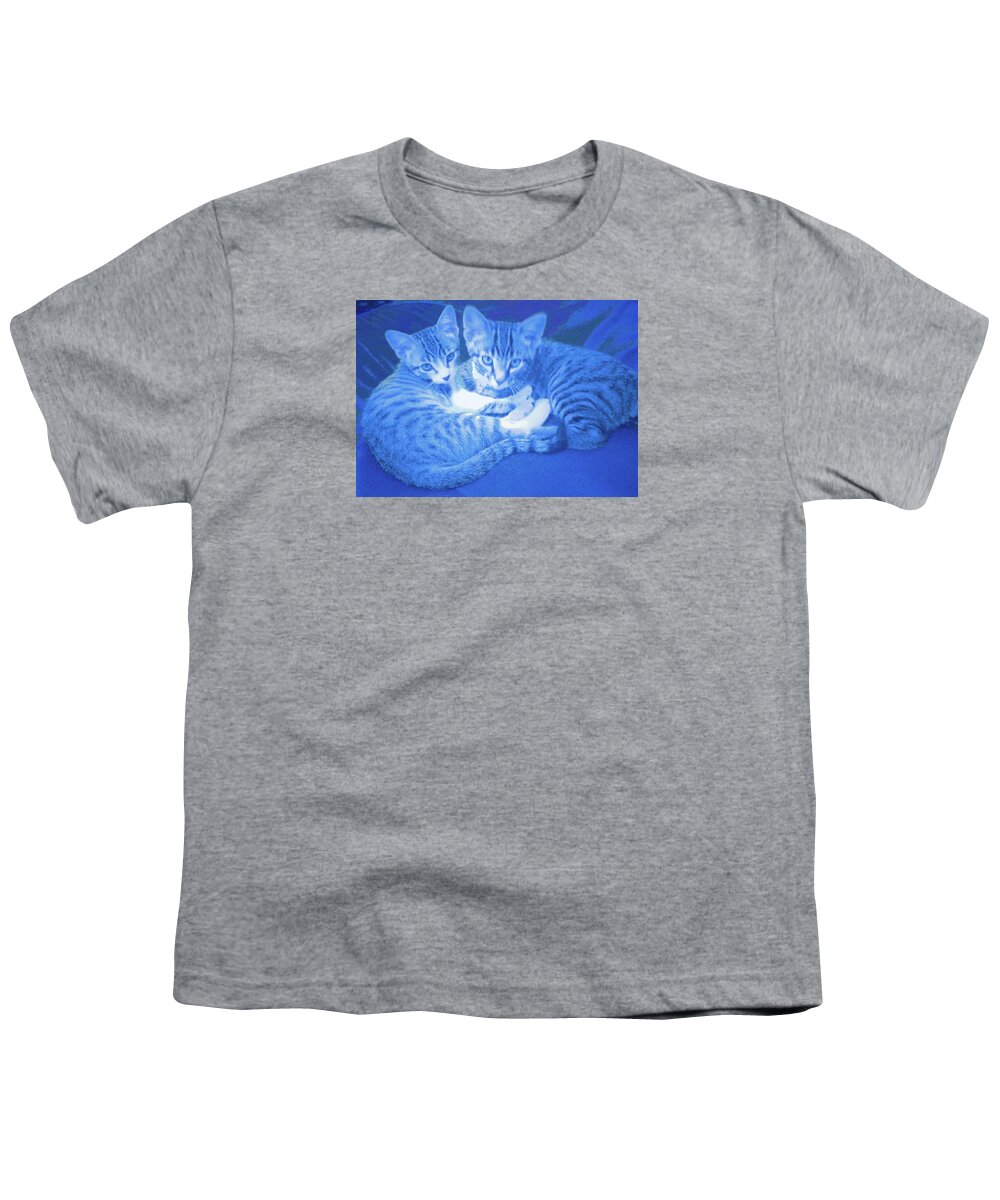  Youth T-Shirt featuring the photograph Blue Kittens by Steve Fields
