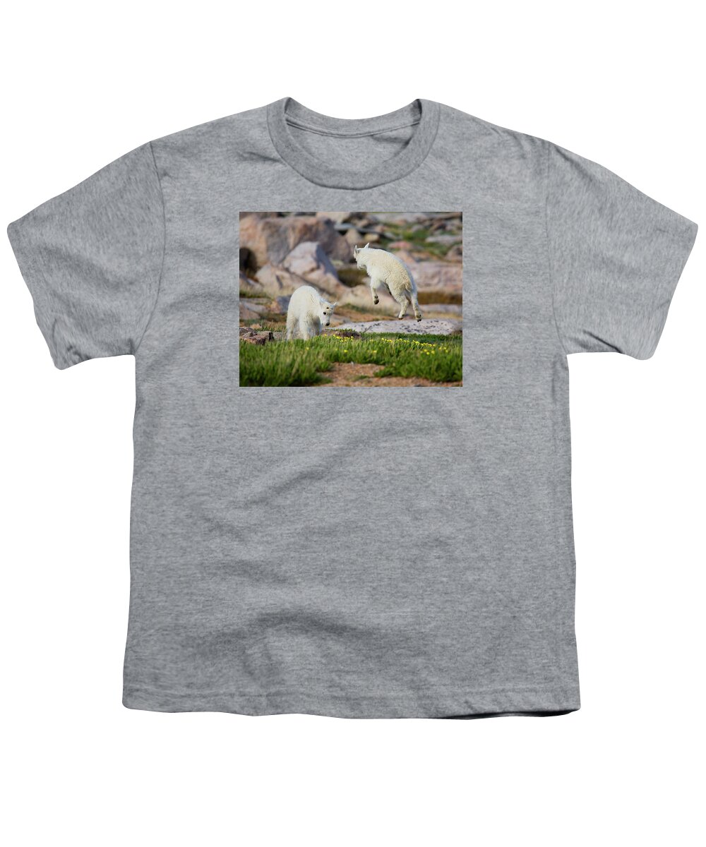 Mountain Goats Youth T-Shirt featuring the photograph Bounder by Jim Garrison