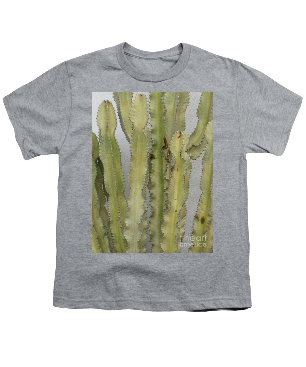Cactus Youth T-Shirt featuring the photograph Cactus by Glenda Zuckerman