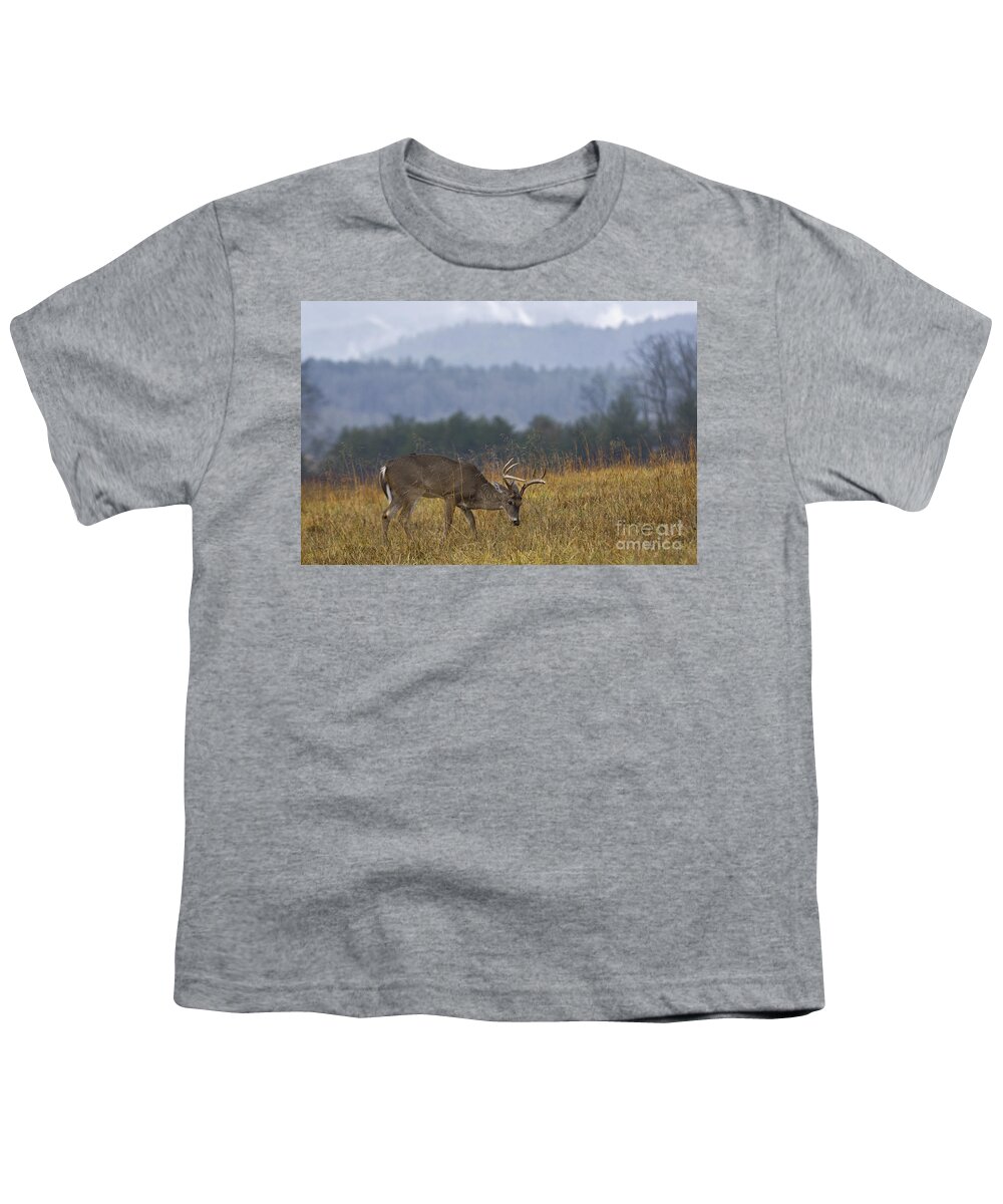 White-tailed Youth T-Shirt featuring the photograph Cades Cove White-tail - D007884 by Daniel Dempster