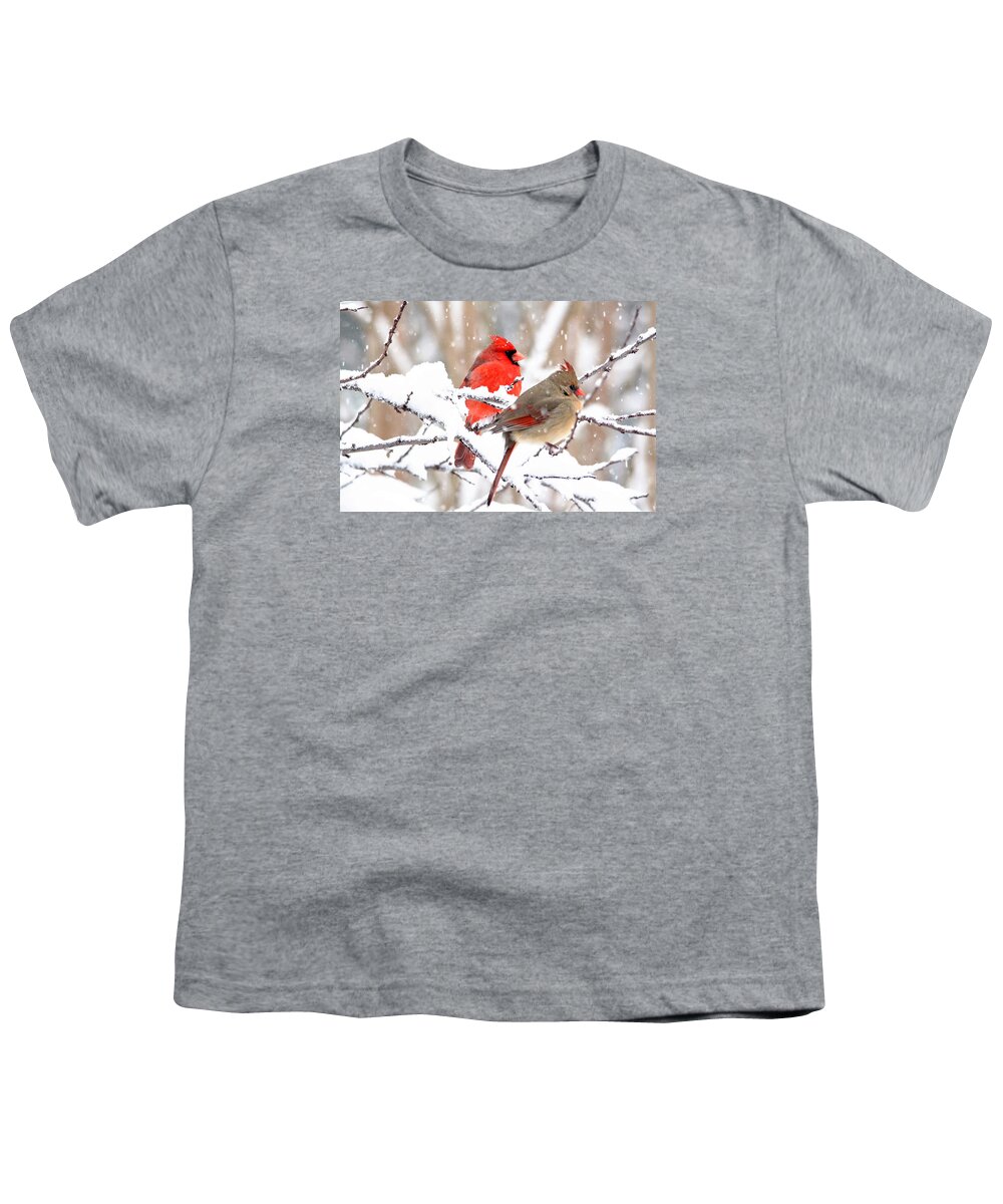 Birds Youth T-Shirt featuring the photograph Cardinals in the Winter by Trina Ansel