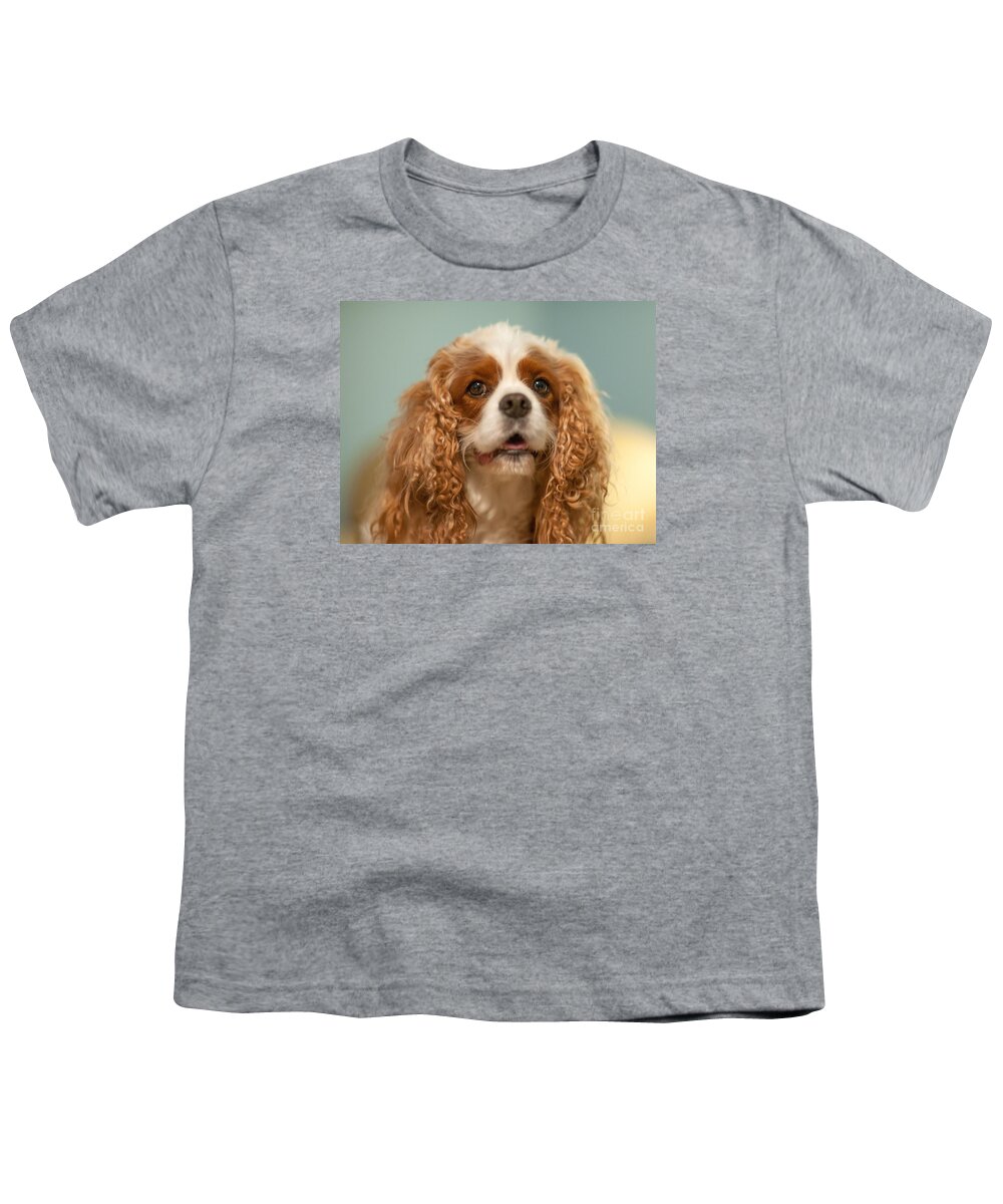 Cavalier King Charles Spaniel Youth T-Shirt featuring the photograph Cavalier Blenheim by Dale Powell