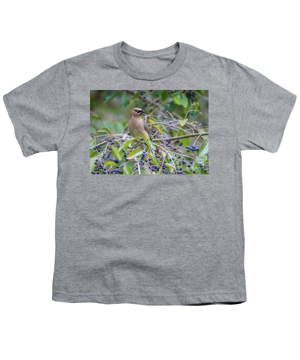 Cedar Wax Wing Youth T-Shirt featuring the photograph Cedar Waxwing and Berries by Karen Jorstad