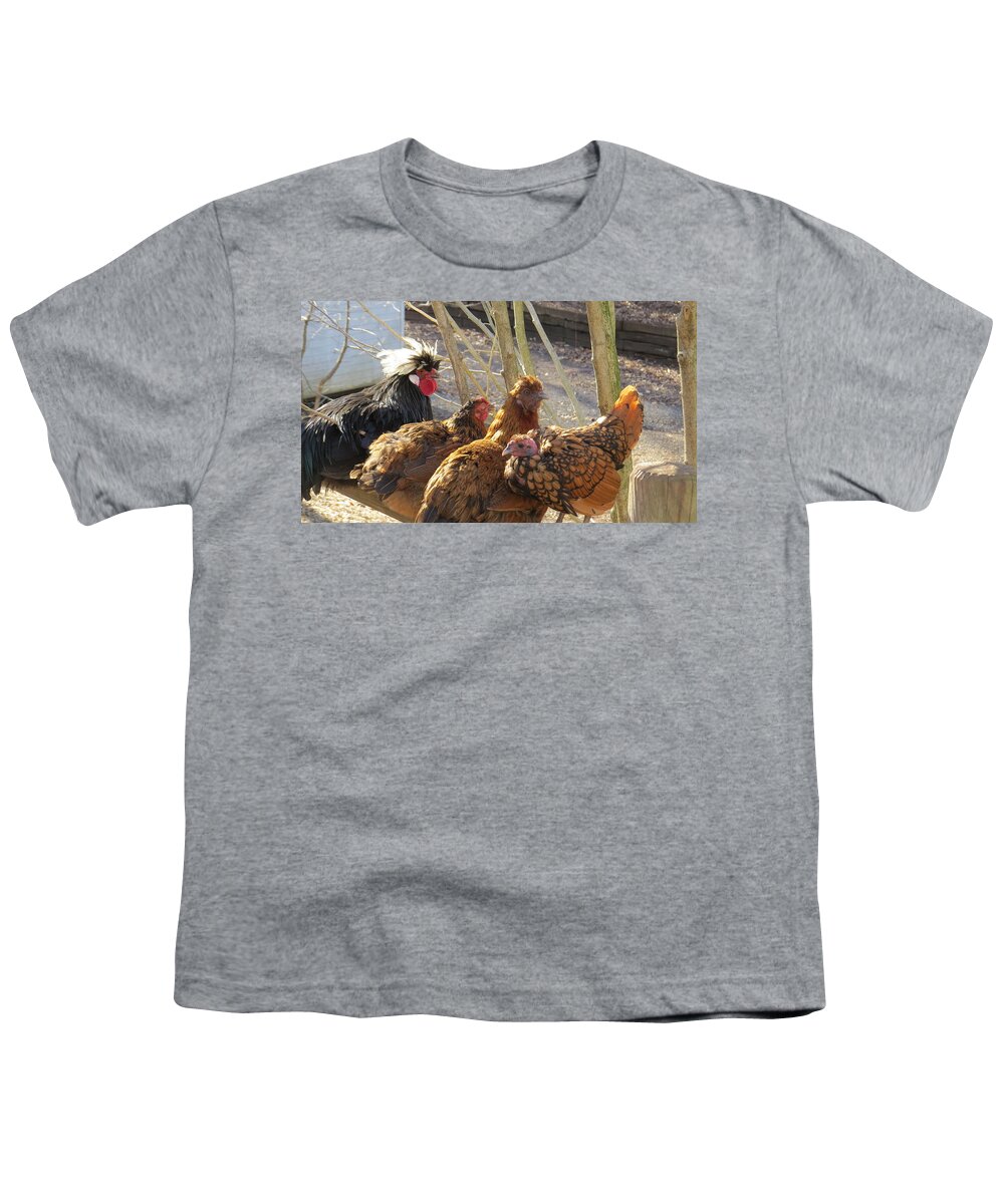 Farm Animals Youth T-Shirt featuring the photograph Chicken Protest by Jeanette Oberholtzer