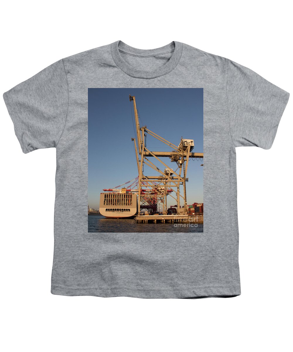 Cranes Youth T-Shirt featuring the photograph Cranes 3 by Cheryl Del Toro