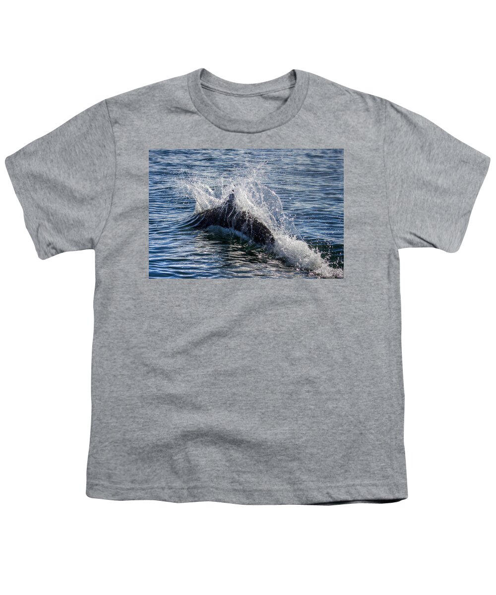 Porpoise Youth T-Shirt featuring the photograph Dall's Porpoise by Kristina Rinell