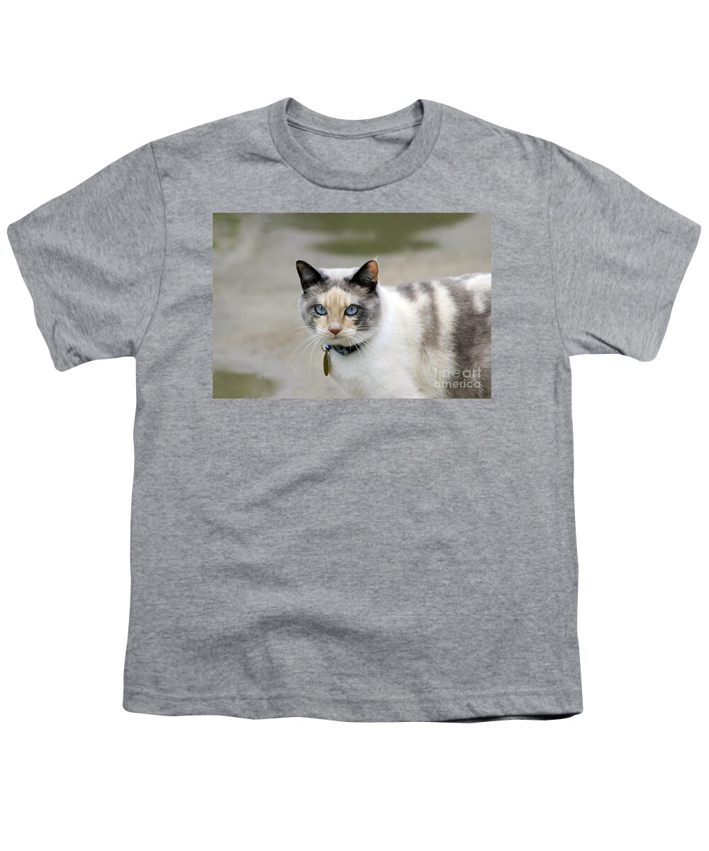 Animal Youth T-Shirt featuring the photograph Danni Girl by Teresa Zieba