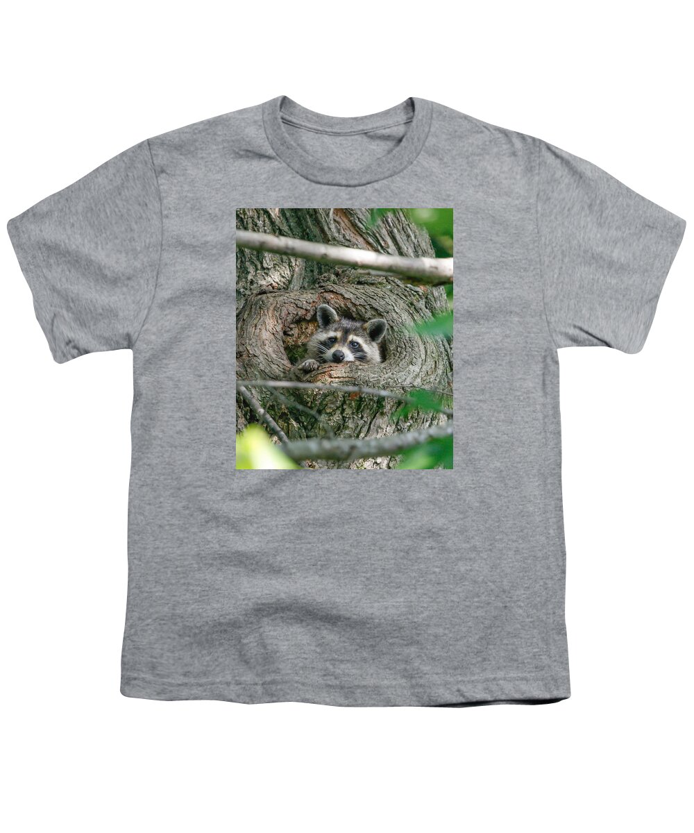 Raccoon Youth T-Shirt featuring the photograph Daydreaming by Gina Fitzhugh