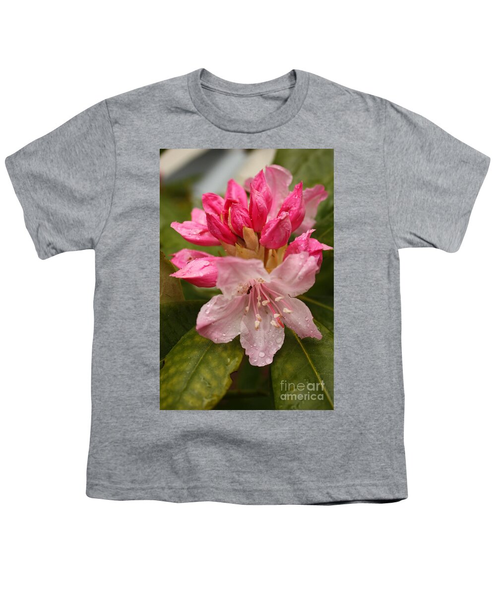 Flower Youth T-Shirt featuring the photograph Delicate Pink Rhododendron by Carol Groenen