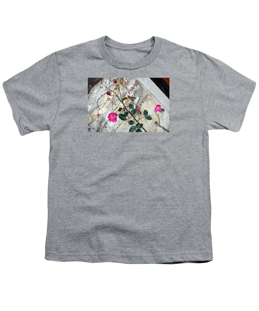 Rose Youth T-Shirt featuring the photograph Delicate rose in December by Eva-Maria Di Bella