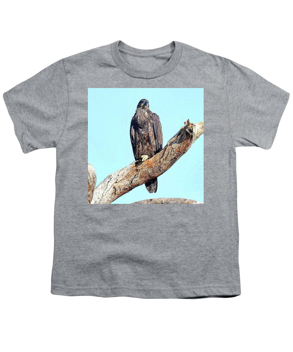 Bald Eagle Youth T-Shirt featuring the photograph E9 favorite perch by Liz Grindstaff