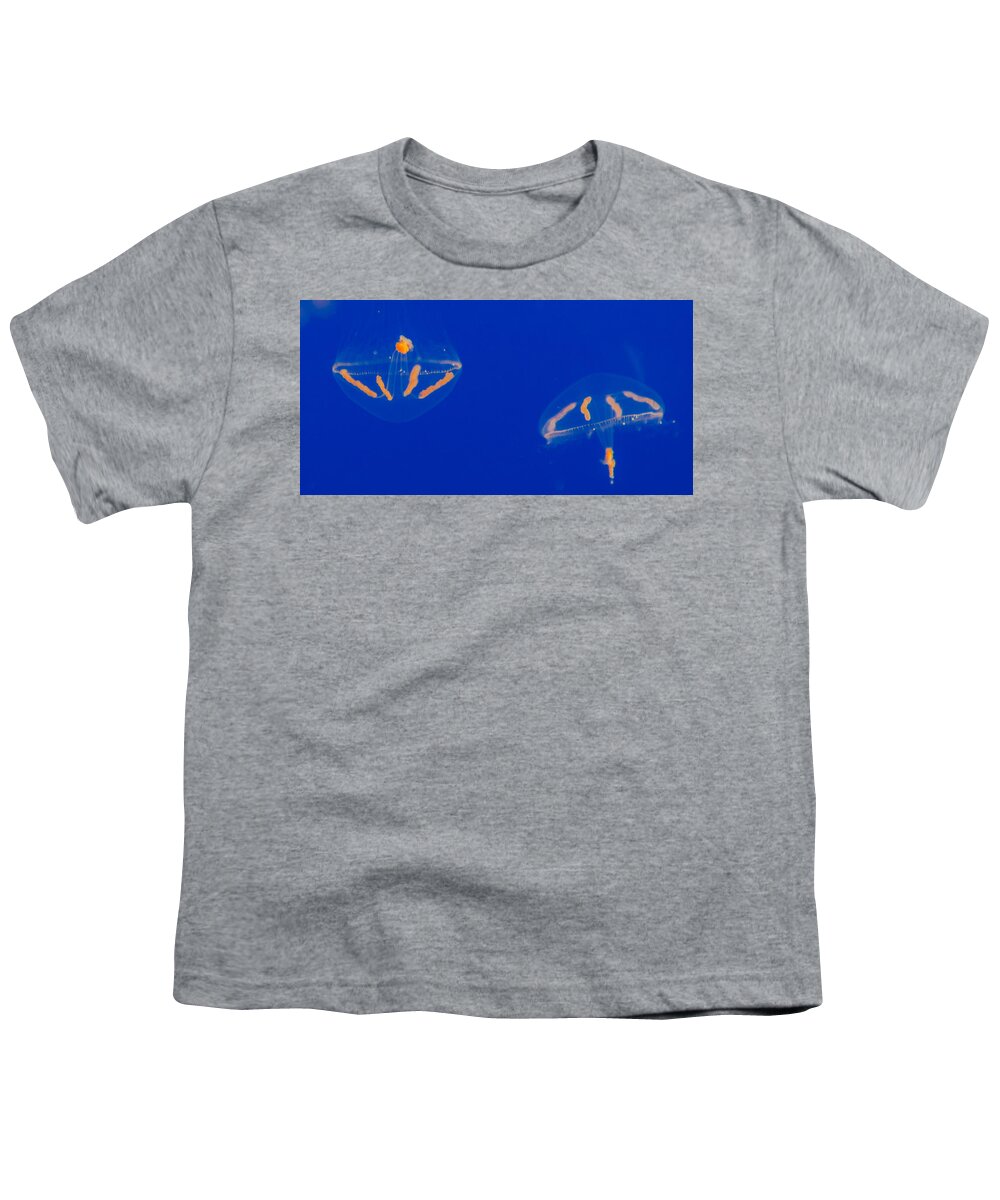 Jellyfish Youth T-Shirt featuring the photograph Elegant Jelly 1 by Scott Campbell