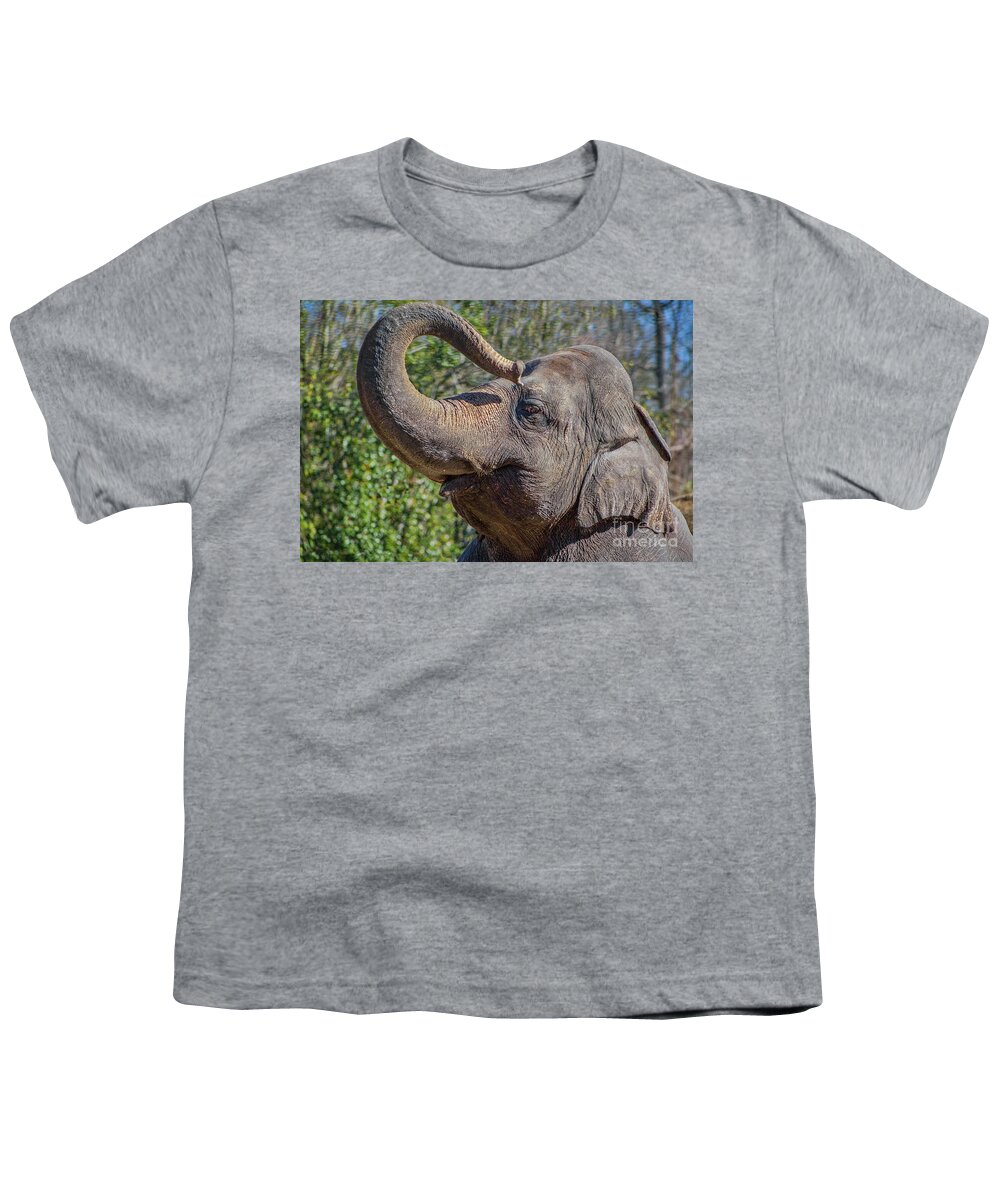 Elephant Youth T-Shirt featuring the photograph Elephant With Curled Trunk by Kimberly Blom-Roemer