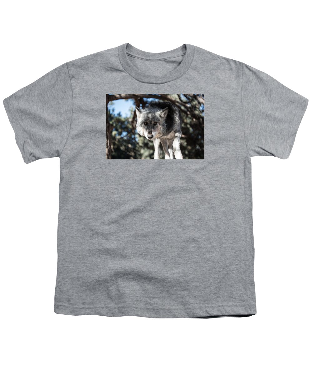 Alone Youth T-Shirt featuring the photograph Eyes on the prize by Art Atkins