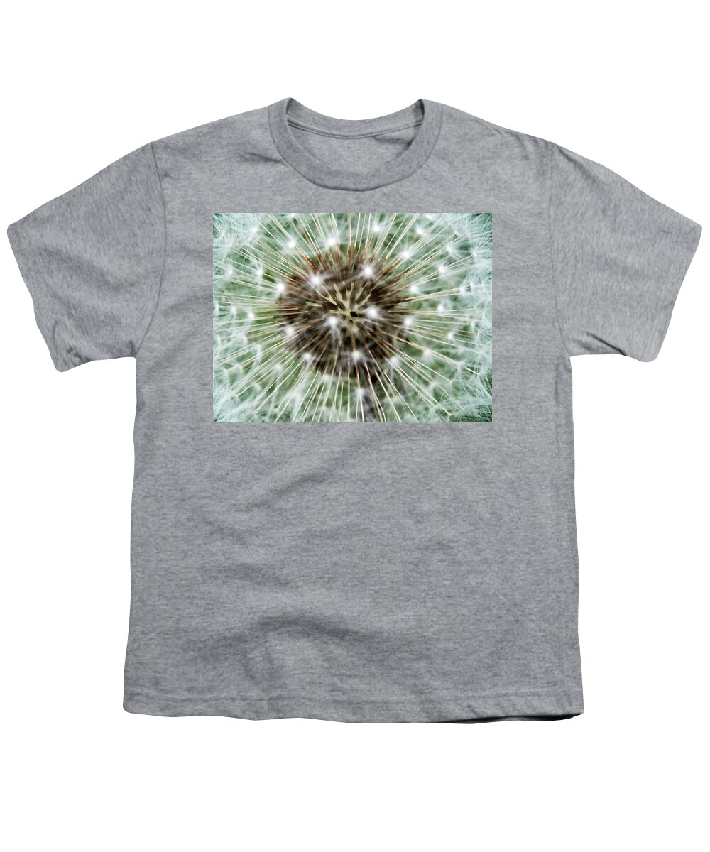 Dandelion Youth T-Shirt featuring the photograph Fairy Central by Nick Bywater