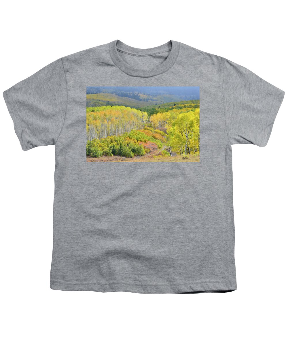 Colorado Youth T-Shirt featuring the photograph Fall Color Comes to Last Dollar Road by Ray Mathis