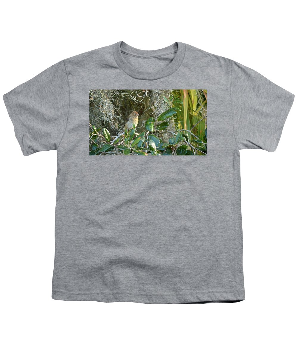 Immature Youth T-Shirt featuring the photograph Immature Female Indigo Bunting by Carol Bradley