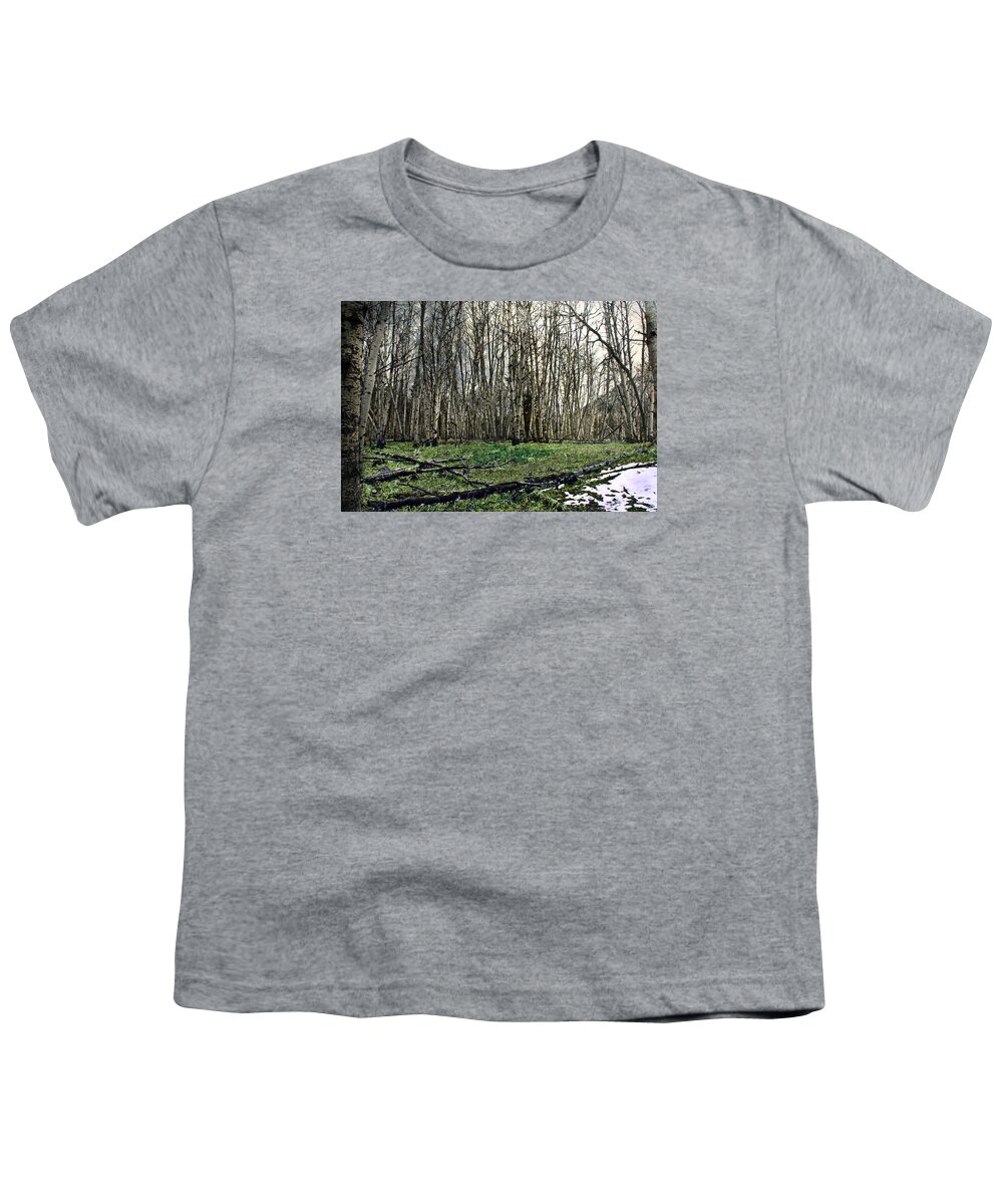 First Youth T-Shirt featuring the photograph First Snow by Danielle Basler
