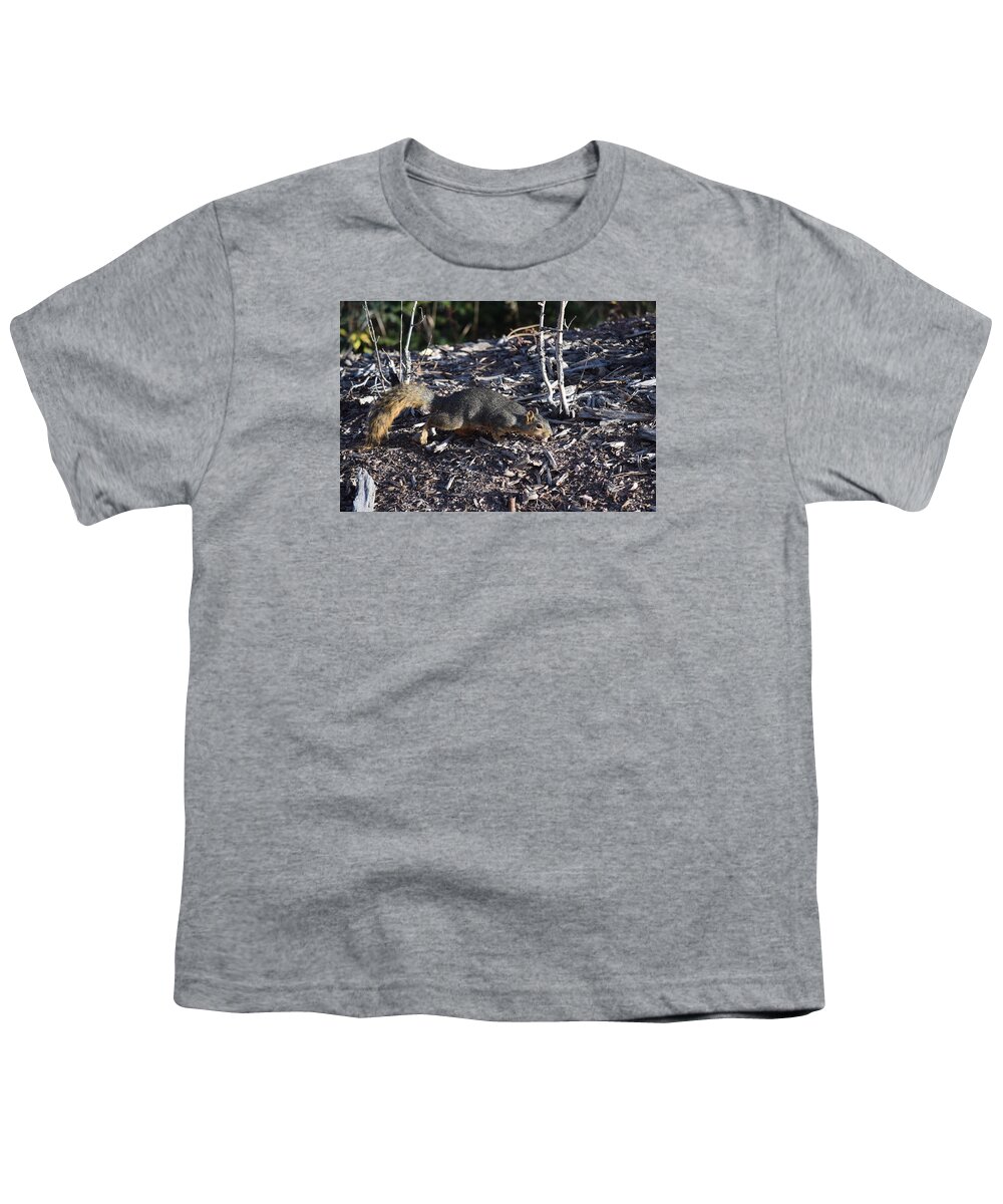 Animal Youth T-Shirt featuring the photograph Squirrel PPRH Woodland Park CO by Margarethe Binkley