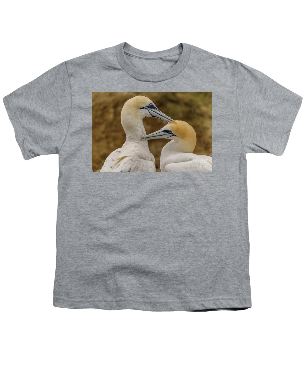 Gannet Youth T-Shirt featuring the photograph Gannets 4 by Werner Padarin
