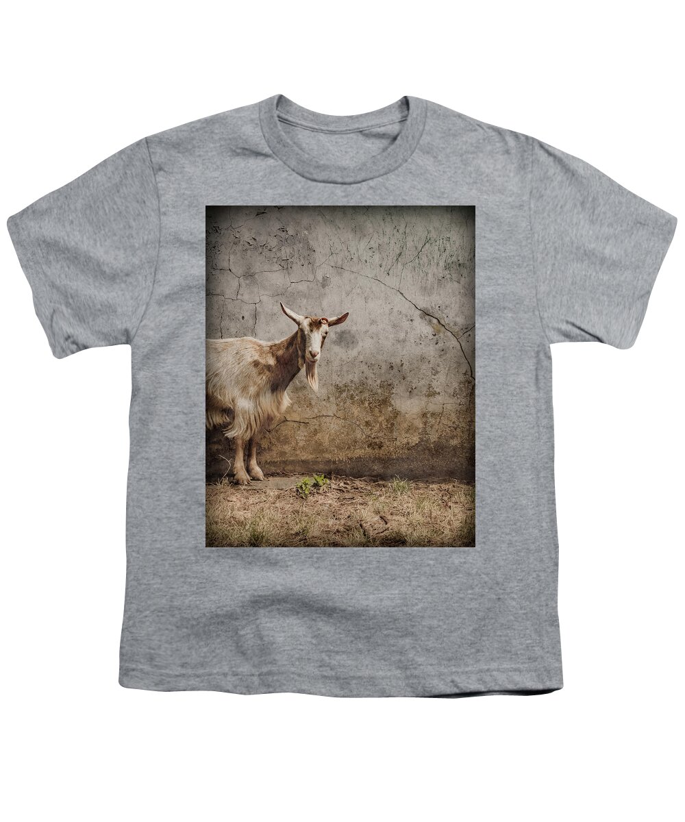 Coram's_fields Youth T-Shirt featuring the photograph London, England - Goat by Mark Forte