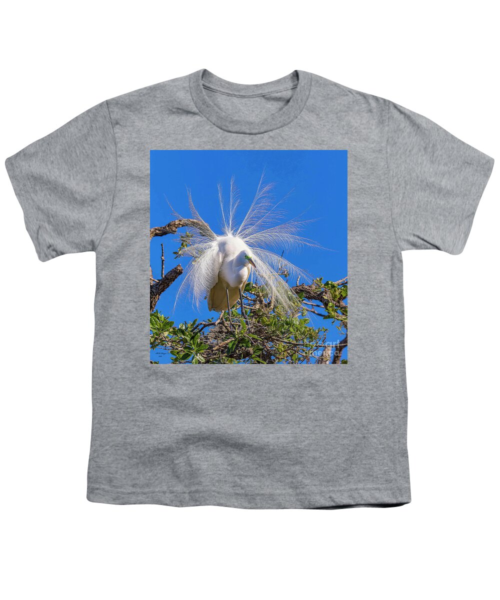 Egrets Youth T-Shirt featuring the photograph Great Egret In Breeding Plumage by DB Hayes