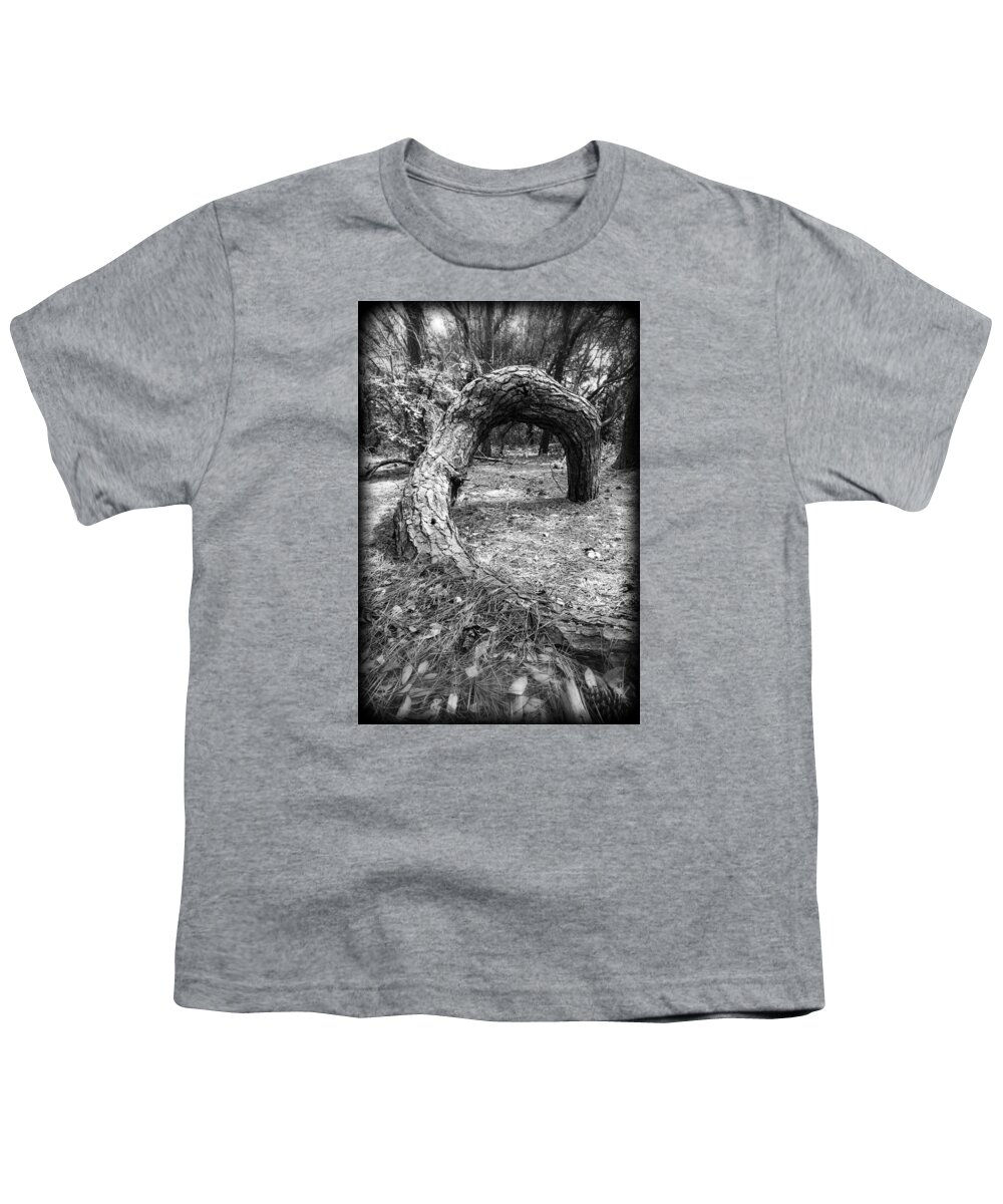 Pine Youth T-Shirt featuring the photograph Grounded by Alan Raasch