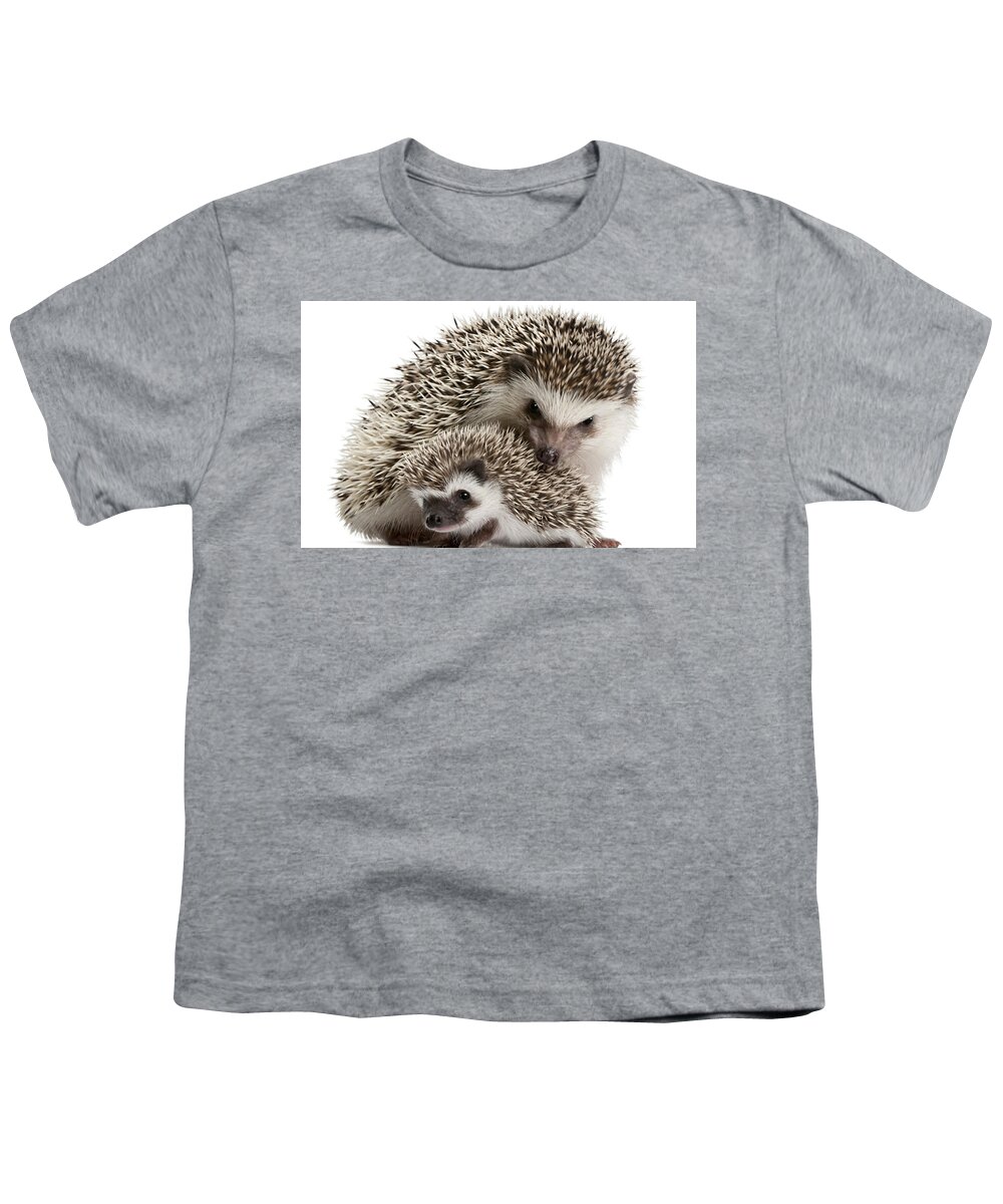 Hedgehog Youth T-Shirt featuring the digital art Hedgehog by Maye Loeser