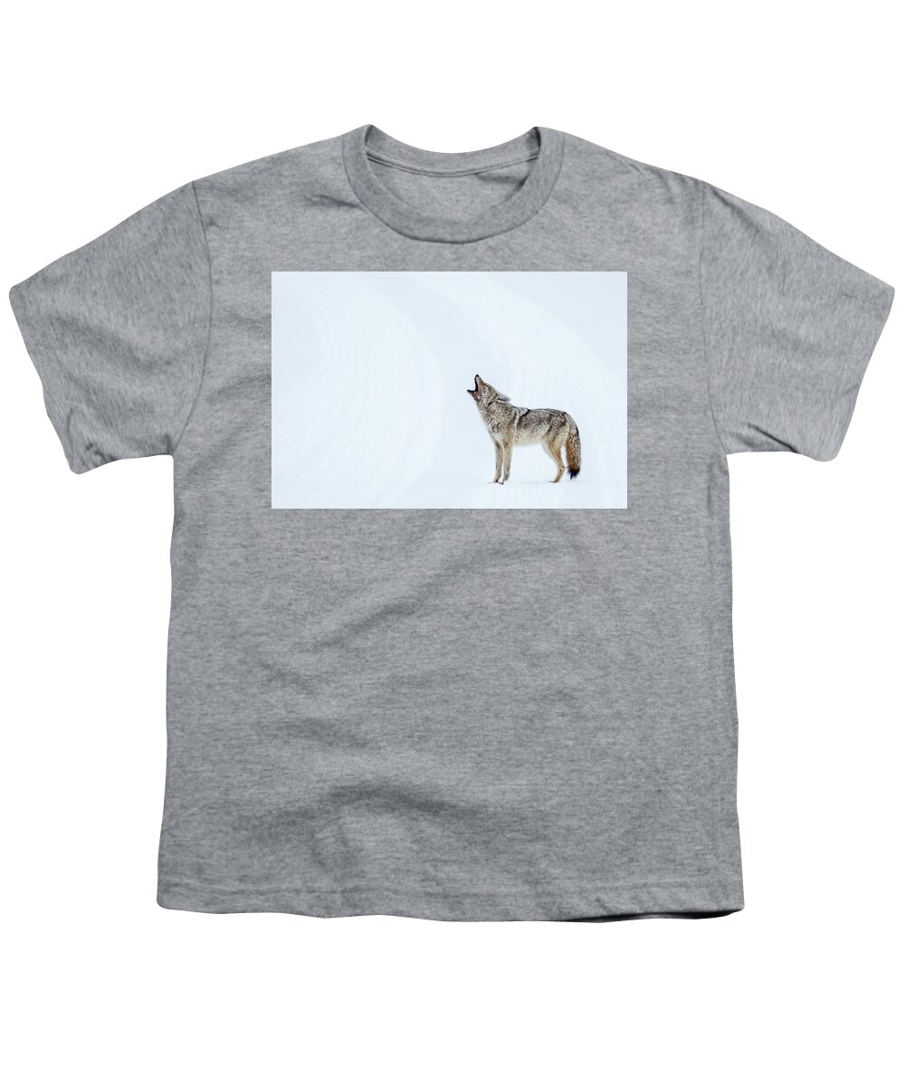 Snow Youth T-Shirt featuring the photograph Howling Coyote - Yellowstone by Stuart Litoff