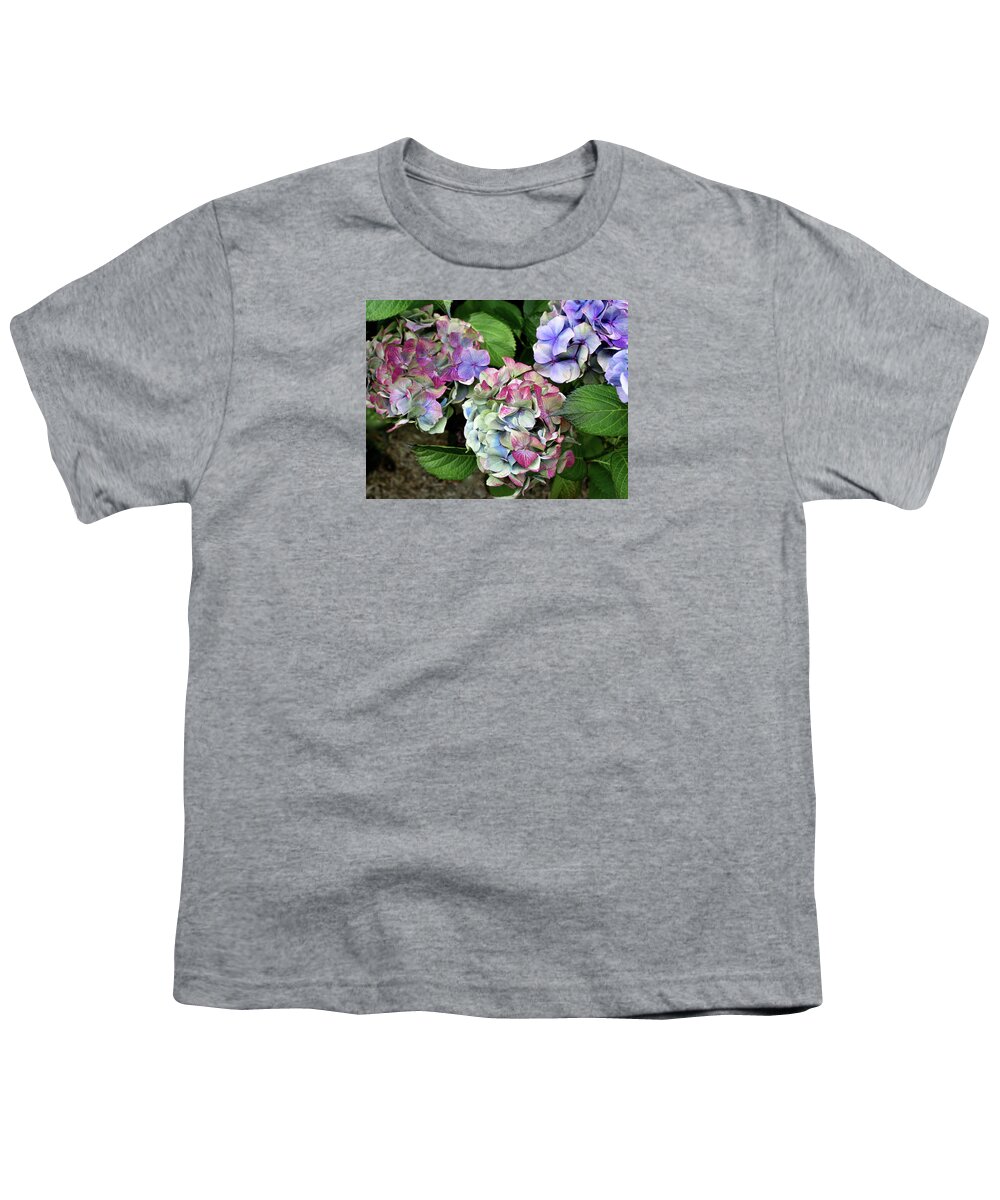 Flowers Youth T-Shirt featuring the photograph Hydrangea Trio by Venetia Featherstone-Witty