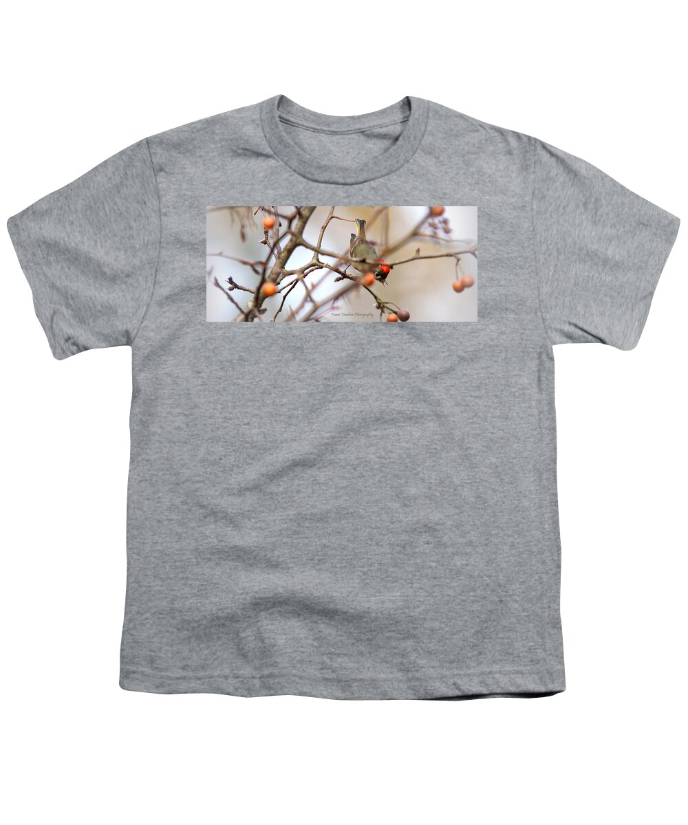 Ruby-crowned Kinglet Youth T-Shirt featuring the photograph IMG_4370-007 - Ruby-crowned Kinglet by Travis Truelove