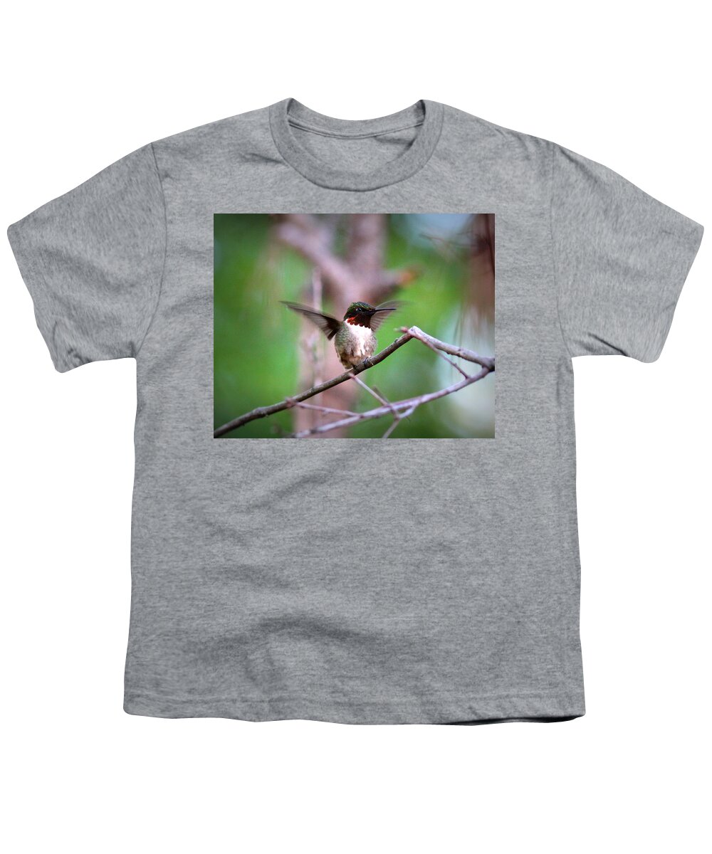 Ruby-throated Hummingbird Youth T-Shirt featuring the photograph IMG_8203-001 - Ruby-throated Hummingbird               by Travis Truelove