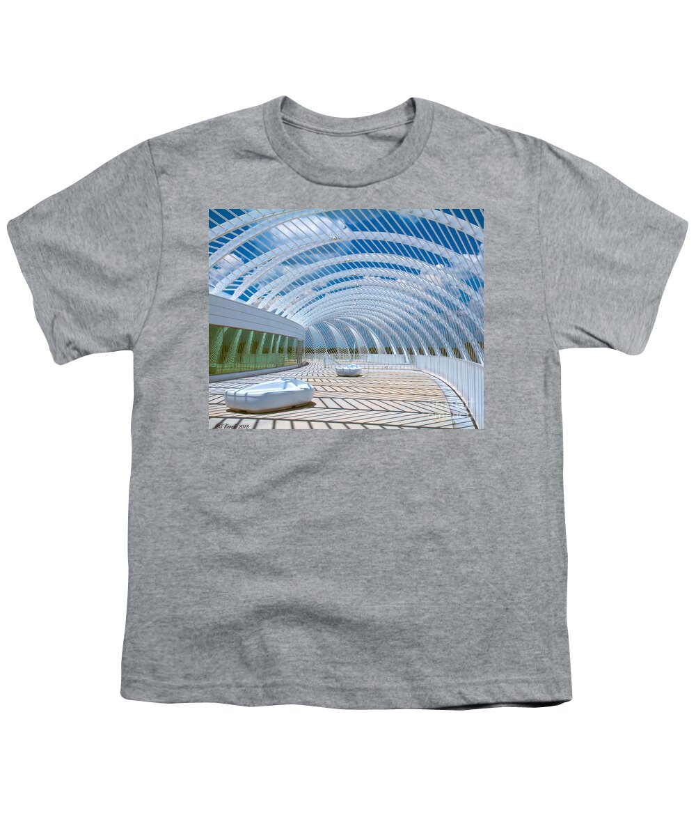 Florida Poly Tech University Youth T-Shirt featuring the photograph Intersecting Lines - Pastels by Sue Karski