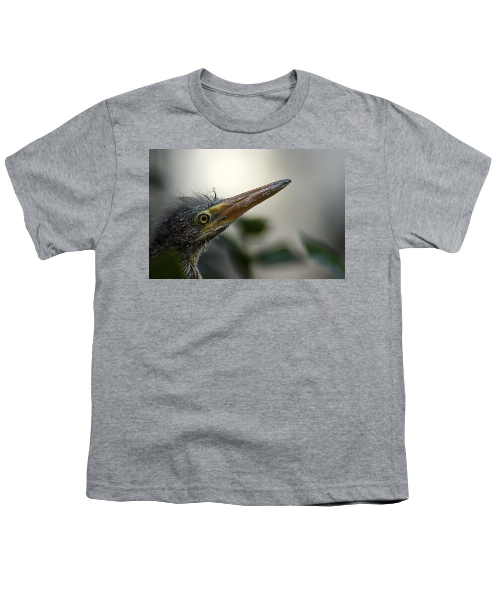 Heron Youth T-Shirt featuring the photograph Just Love Me by DArcy Evans