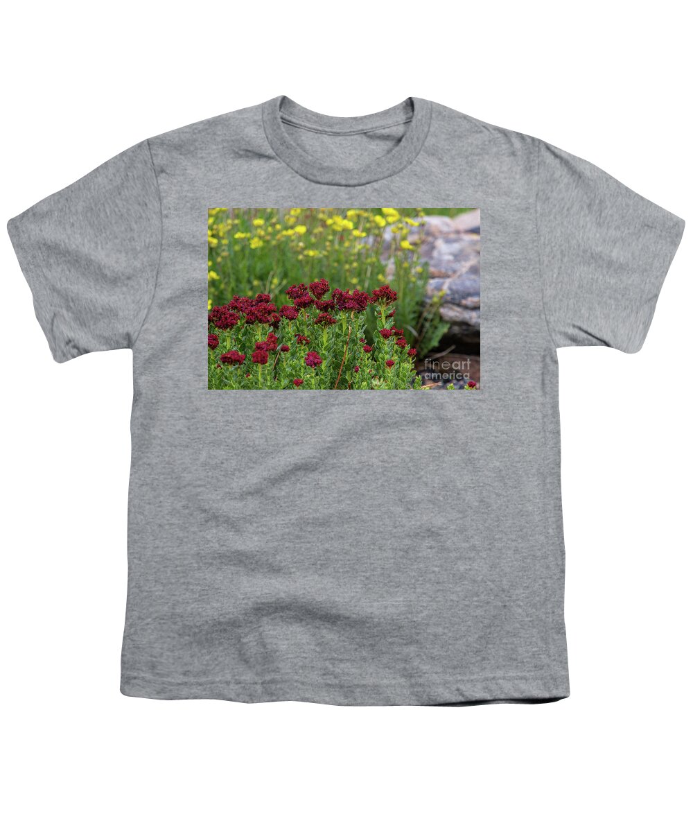 Wildflowers Youth T-Shirt featuring the photograph Kings Crown Curtain by Jim Garrison