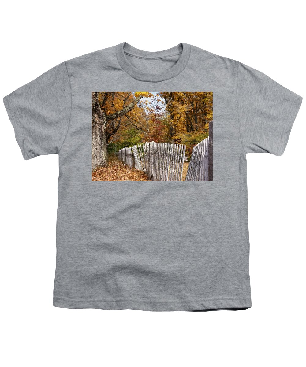 Autumn Youth T-Shirt featuring the photograph Leaves along the fence by Lois Lepisto