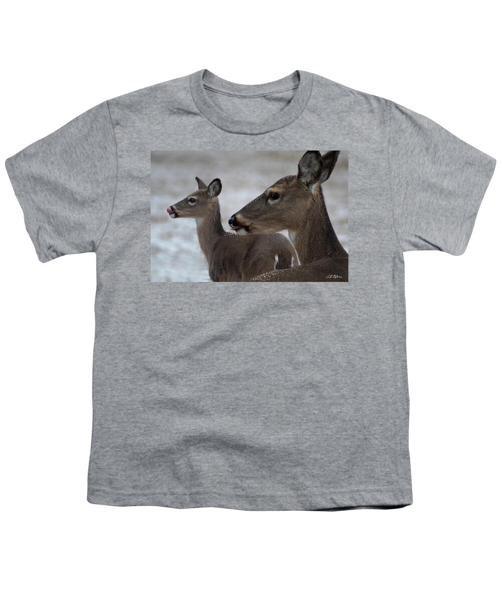 Deer Youth T-Shirt featuring the photograph Licking Snowflakes by Bill Stephens