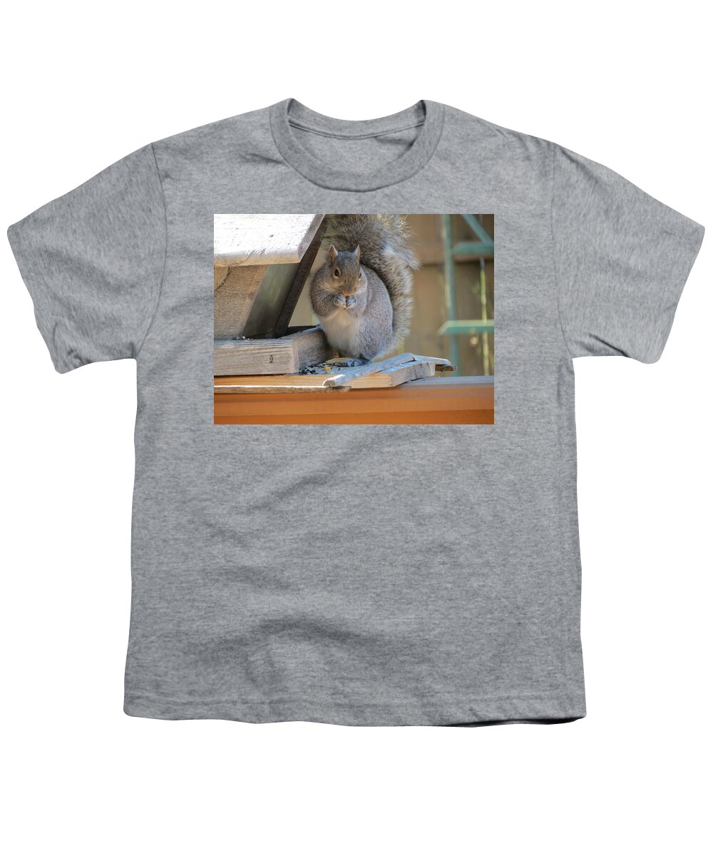 Squirrel Youth T-Shirt featuring the photograph Little Gray Squirrel Eating by Kay Novy