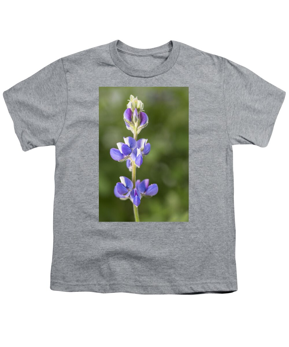 Lupine Youth T-Shirt featuring the photograph Little Lupine by Denise Bush