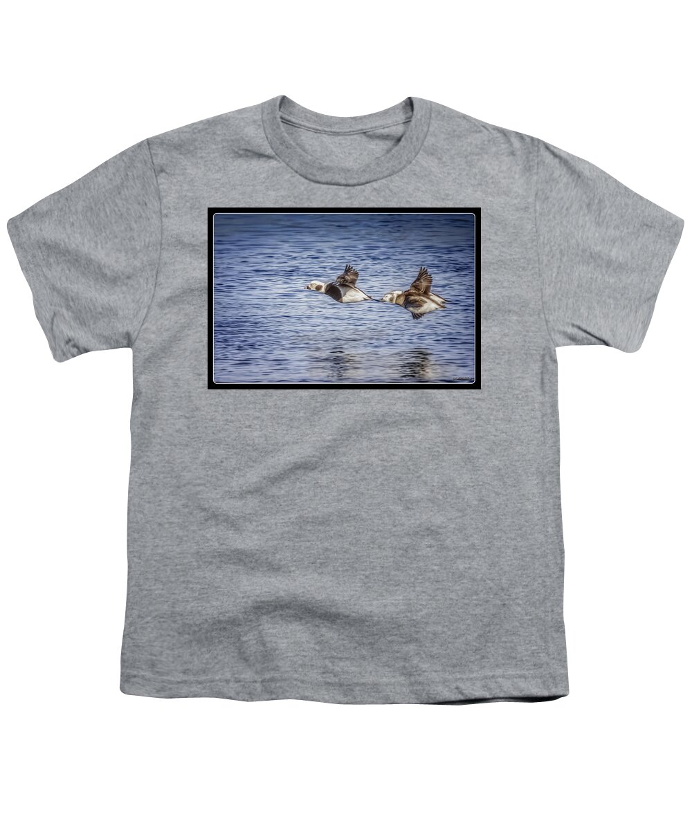 Long-tailed Duck Youth T-Shirt featuring the photograph Long-tailed Ducks in Flight by LeeAnn McLaneGoetz McLaneGoetzStudioLLCcom